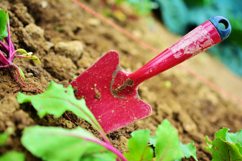 sasu-CHATEAUNEUF VILLEVIEILLE-min_gardening-2448134